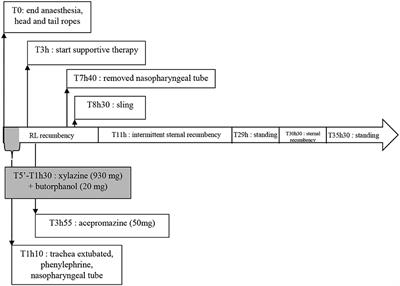 Prolonged Recovery From General Anesthesia Possibly Related to Persistent Hypoxemia in a Draft Horse